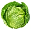 Green cabbage