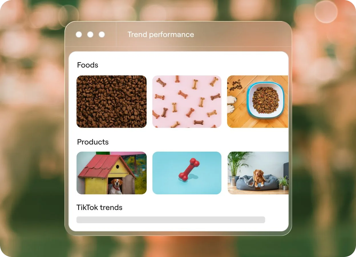 Zenline trend window with trending pet foods and products