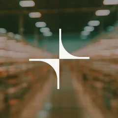 Zenline star, white on the warehouse photo